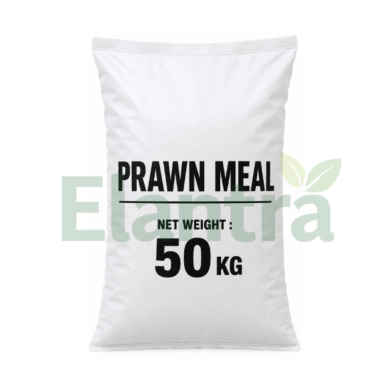 PRAWN MEAL